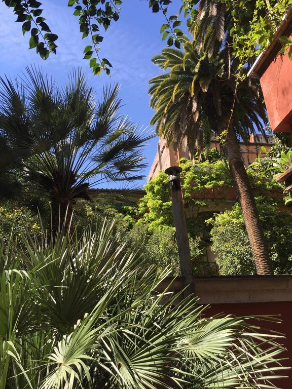 Margutta's Garden * Roma